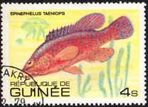 [Fish, tipo UZ]