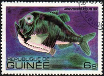 [Fish, tipo VB]