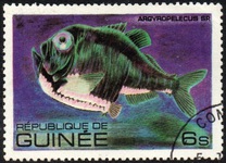 [Fish, tipo VB]
