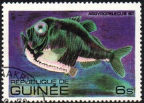 [Fish, tipo VB]