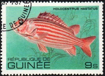 [Fish, tipo VE]