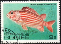[Fish, tipo VE]