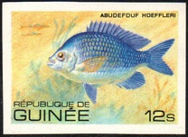 [Fish, Tip VG]