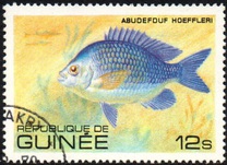 [Fish, Tip VG]
