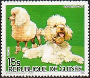 [Cats and Dogs, tegund ABH]