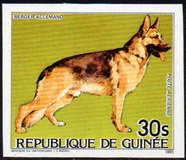 [Cats and Dogs, tegund ABK]