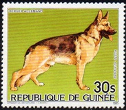 [Cats and Dogs, tegund ABK]
