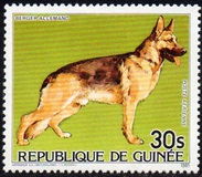 [Cats and Dogs, tegund ABK]