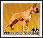 [Cats and Dogs, tegund ABM]