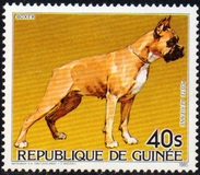 [Cats and Dogs, tegund ABM]