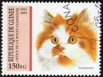 [Cats, type APH]