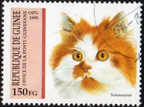 [Cats, type APH]