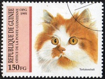 [Cats, type APH]
