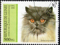 [Cats, type APJ]