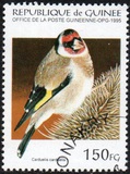 [Birds, type APT]