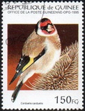 [Birds, type APT]
