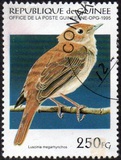 [Birds, type APU]