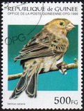 [Birds, type APV]