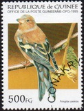 [Birds, type APW]