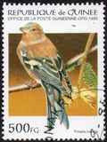 [Birds, type APW]