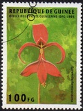 [Flowers, Scrivi AQJ]
