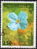 [Flowers, Scrivi AQL]