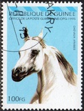 [Arab Horses, type AQW]