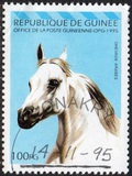[Arab Horses, type AQW]