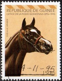[Arab Horses, type AQX]