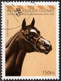 [Arab Horses, type AQX]