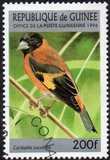 [Birds, type ARY]
