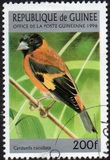 [Birds, type ARY]