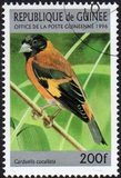 [Birds, type ARY]