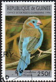 [Birds, type ARZ]