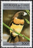 [Birds, type ASA]