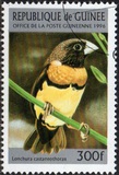 [Birds, type ASA]