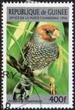 [Birds, type ASB]