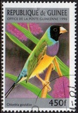 [Birds, type ASC]