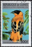 [Birds, type ASD]