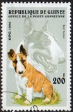 [Dogs, タイプ ASF]