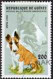 [Dogs, タイプ ASF]
