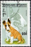 [Dogs, タイプ ASF]