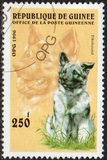[Dogs, タイプ ASG]