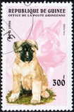 [Dogs, タイプ ASH]