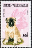 [Dogs, タイプ ASH]