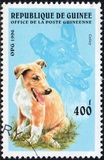 [Dogs, タイプ ASI]
