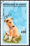 [Dogs, タイプ ASI]