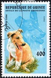 [Dogs, タイプ ASI]