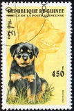 [Dogs, タイプ ASJ]