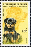 [Dogs, タイプ ASJ]